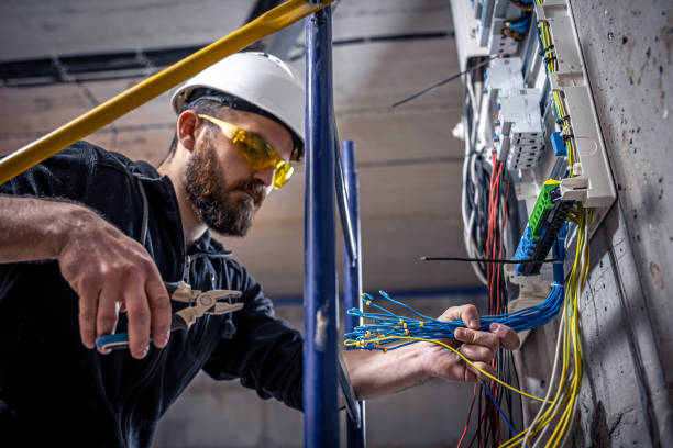 Best Generator Installation Services  in Trenton, MI