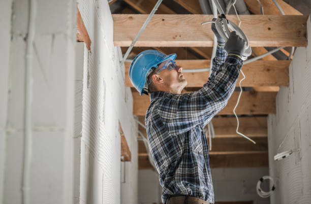 Best Electrical Repair Services  in Trenton, MI