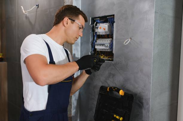 Best Electrician for Home Renovation  in Trenton, MI