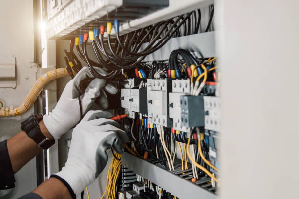 Best Affordable Electrician  in Trenton, MI